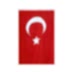 Seçkin Alpaka Türk Bayrağı 70 x 105 cm resmi