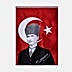 Vatan VT209 Türk Bayrağı Atatürk Baskılı 100x150 cm resmi