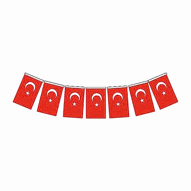 Vatan VT809 Türk Bayrağı Kağıt İpli Büyük 11x18 cm 40'lı