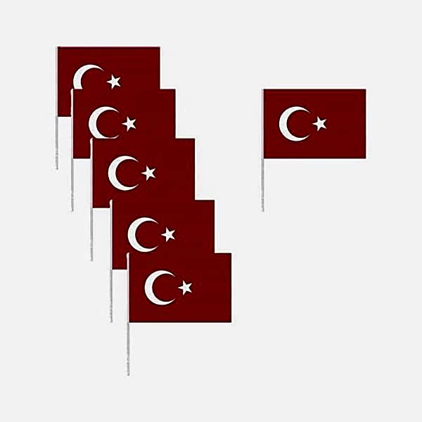 Vatan VT803 Türk Bayrağı Sopalı Battal Boy 50'li Paket
