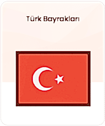 Türk Bayrakları kategorisi için resim